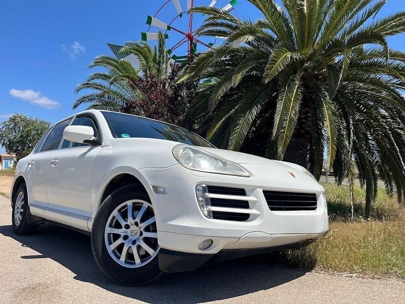 Cayenne