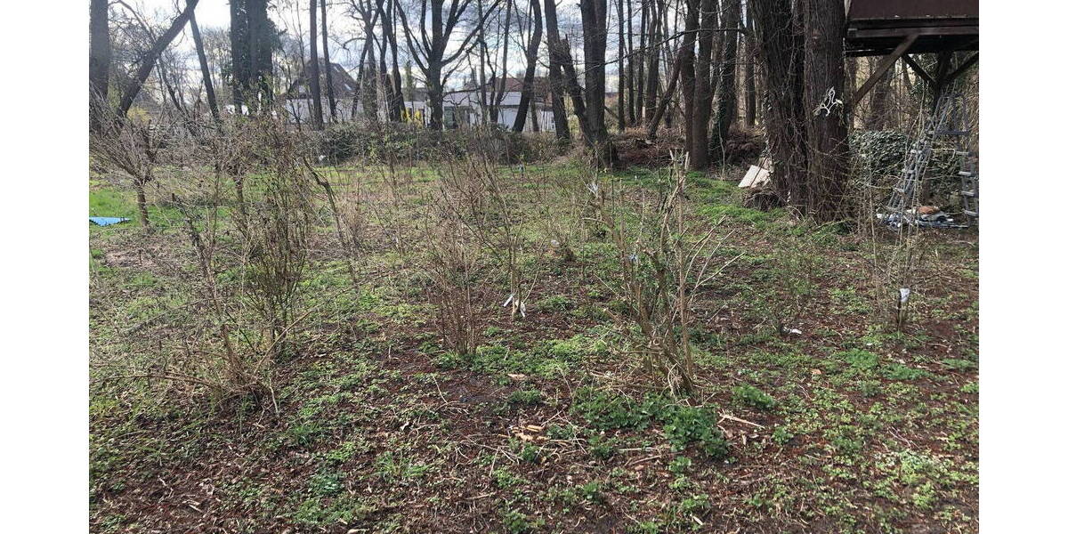 Grundstück Bestensee - 1.300.000&euro; | Angebot:25957449