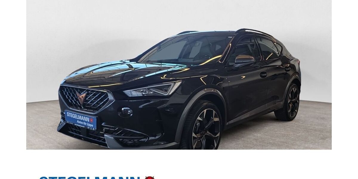 Cupra Formentor 87.909 km 26.590 &euro; Lemgo 32657