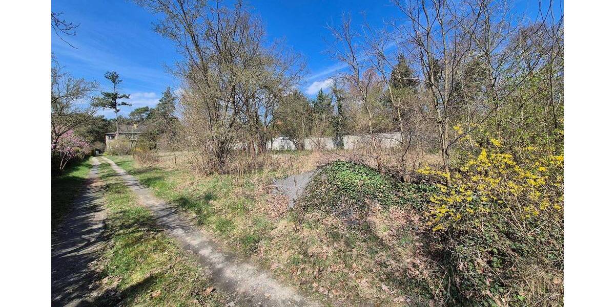 Grundstück Bad Düben - 78.000&euro; | Angebot:26290150