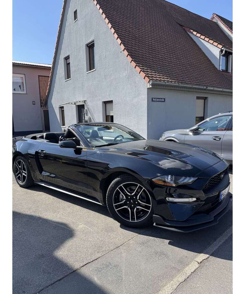 Mustang