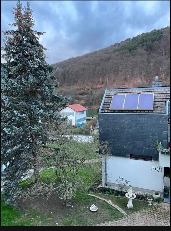 Schöne möblierte 1,5 Zimmerwoh in Neckargemünd in zentraler Lage zimmer