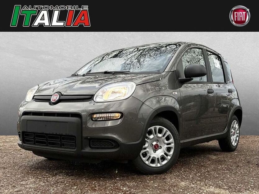 Panda
