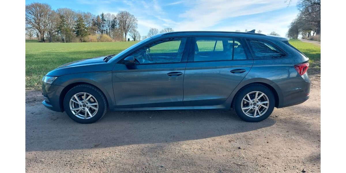 Skoda Octavia 83.000 km 21.999 &euro; Kronshagen 24119