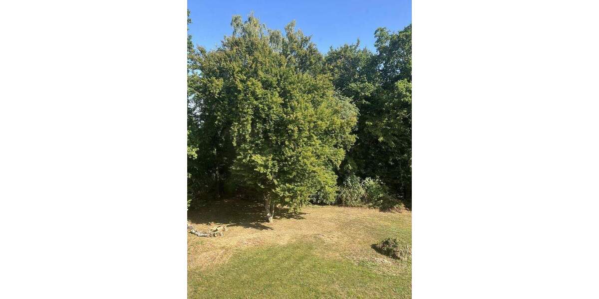Einfamilienhaus Nittendorf - 7 Zimmer, 245 m&sup2;, 995.000&euro; | Angebot:25756414