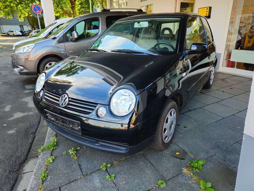 Lupo