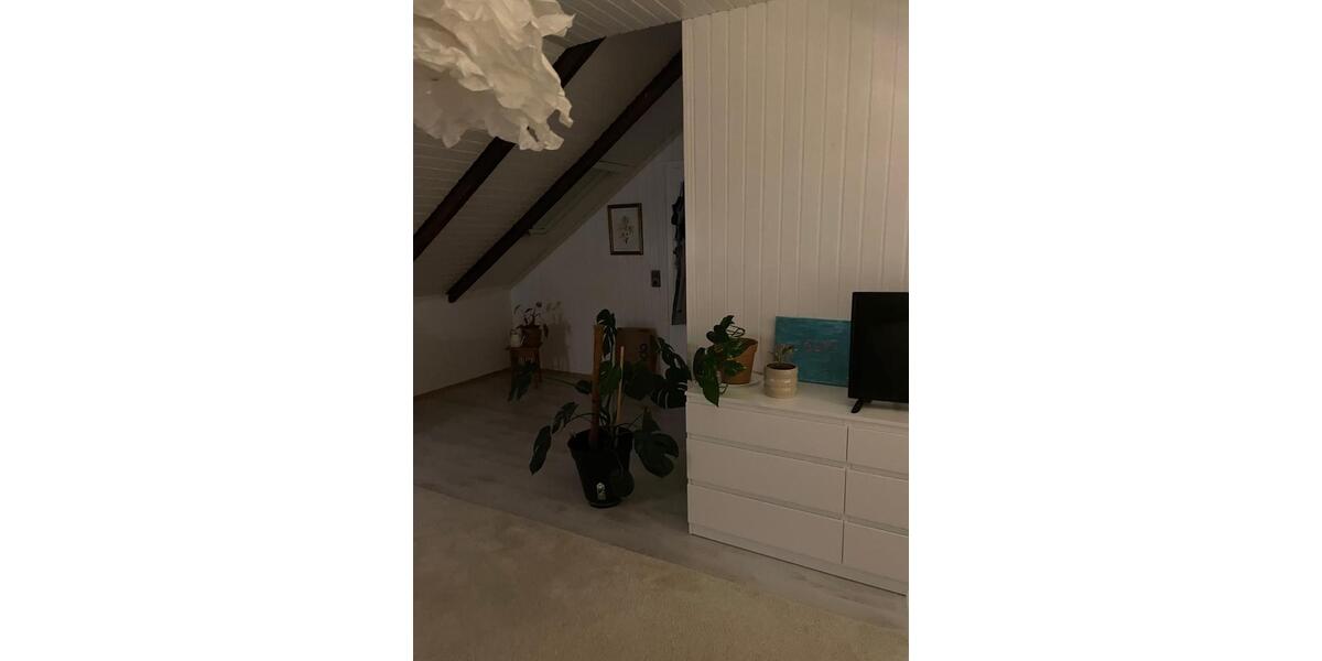 Wohnen auf Zeit Vechta - 310&euro; | Angebot:26400249