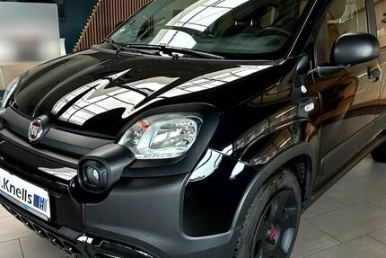 Fiat Panda 53.400 km 9.950 € Ibbenbüren - Laggenbeck 49479