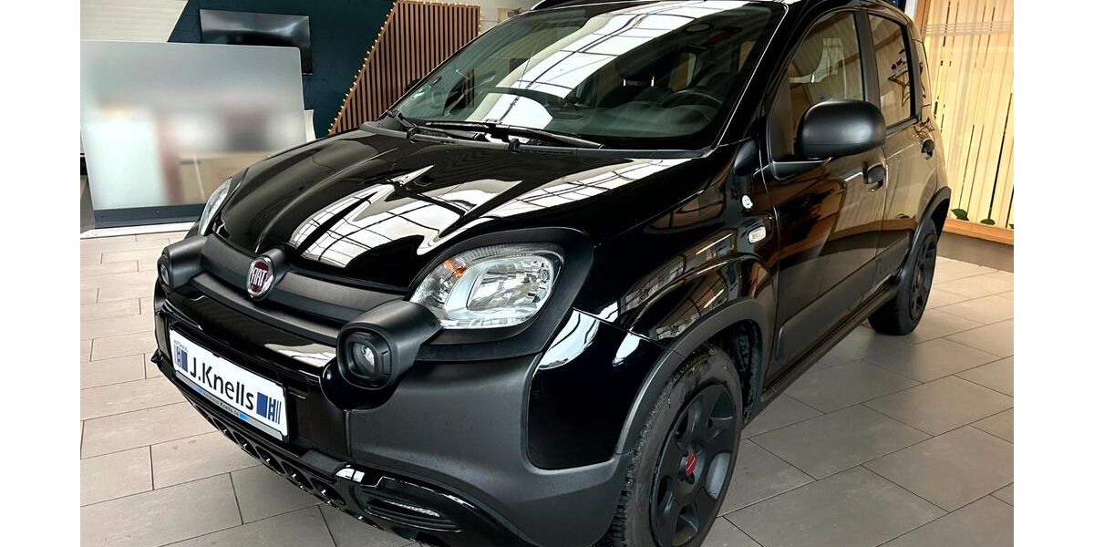 Fiat Panda 53.400 km 9.950 € Ibbenbüren - Laggenbeck 49479