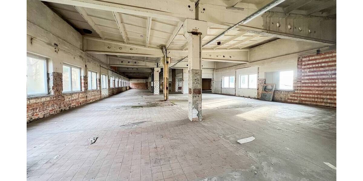 Gewerbeobjekt Coswig - 350.000&euro; | Angebot:26377815