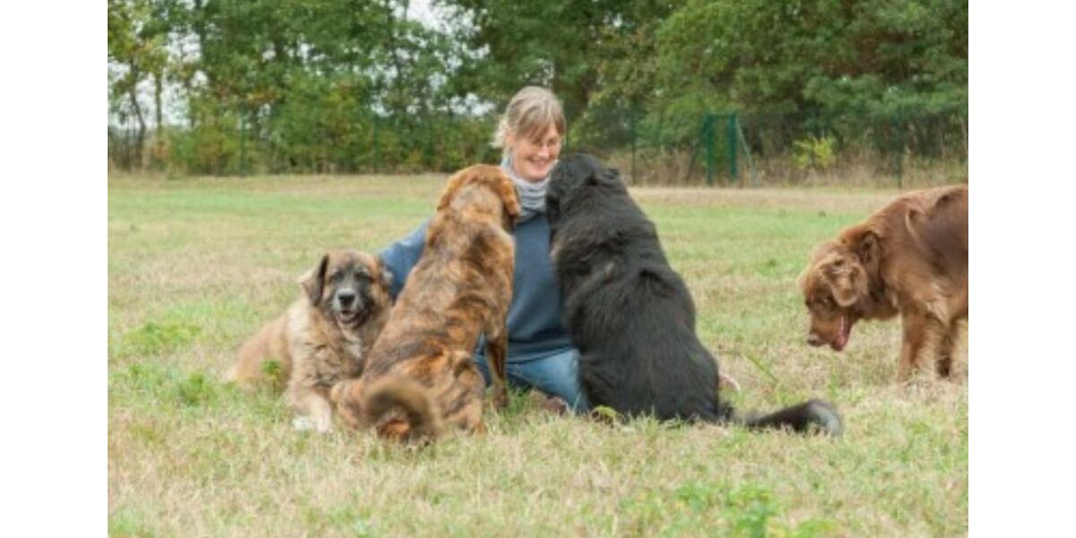 Biete Wohnen gegen HandHilfe auf Tierhof im Süden Meckl. Vorpom. 1 zimmer