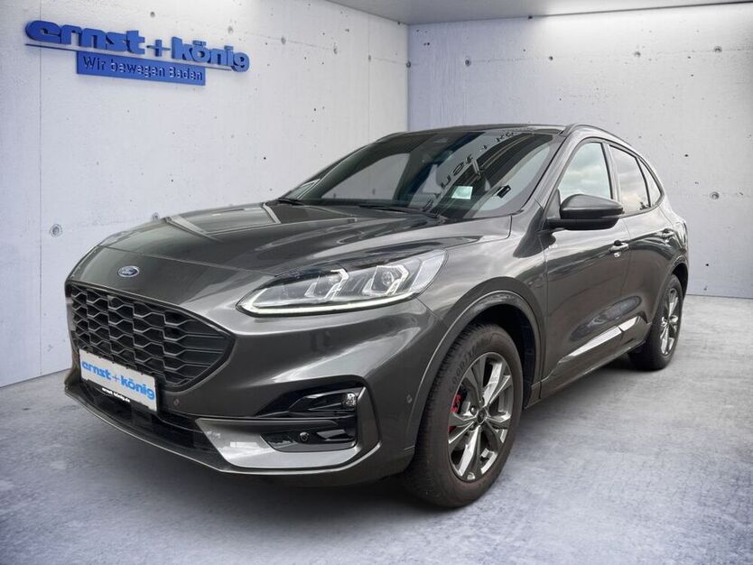 Kuga