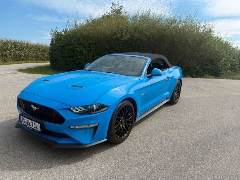 Mustang