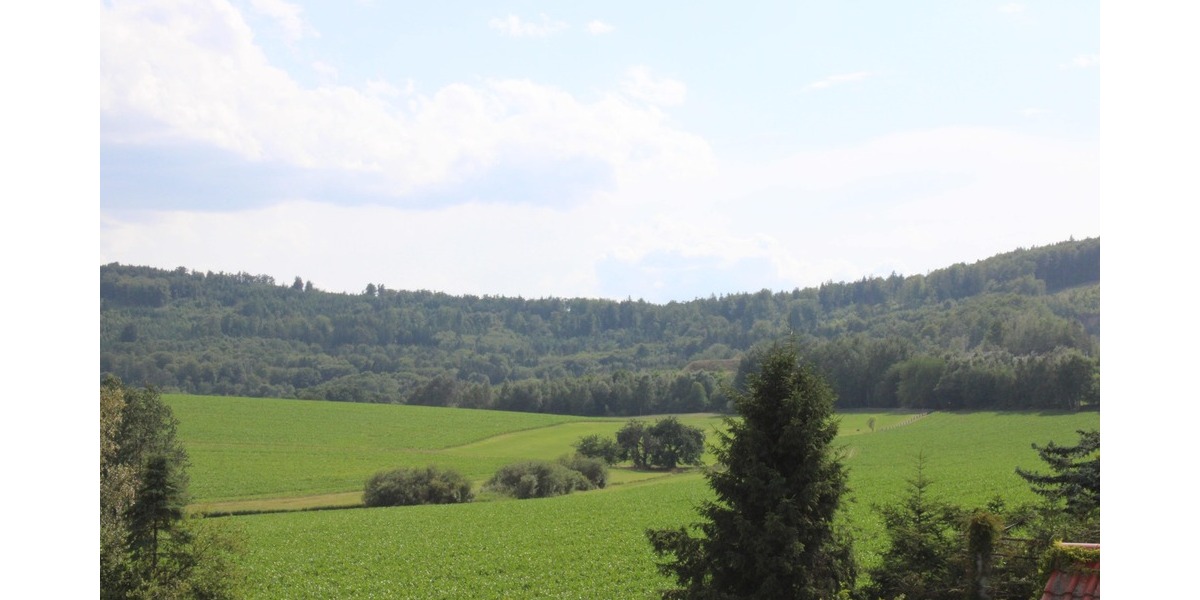 Rauschwitz - Vollvermietets Mehrfamilienhaus - Mehrfamilienhaus, Wohnhaus Elstra | Angebot:26716101