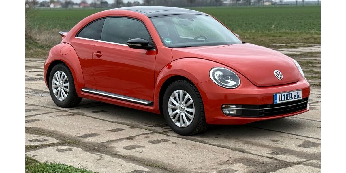 VW Beetle 103.000 km 17.499 &euro; Wiedemar 04509
