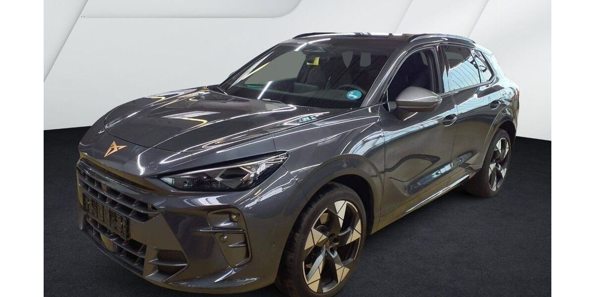 Cupra Terramar 25.500 km 40.980 &euro; Balingen 72336