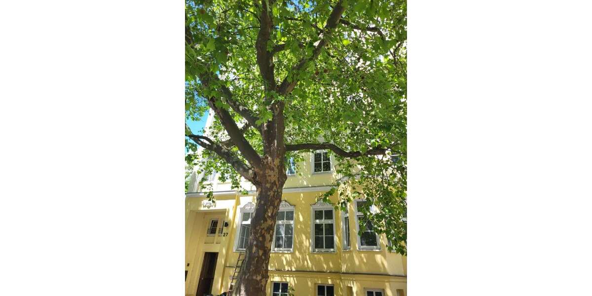 Etagenwohnung Berlin Mitte - 4 Zimmer, 116 m&sup2;, 878.000&euro; | Angebot:27117936