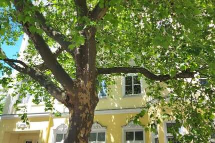 Wohnung Berlin Mitte - 4 Zimmer, 116 m&sup2;, 878.000&euro; | Angebot:27117936