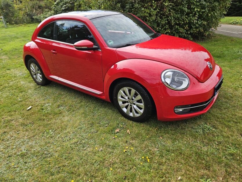 VW Beetle 114.826 km 10.500 € Hechthausen 21755
