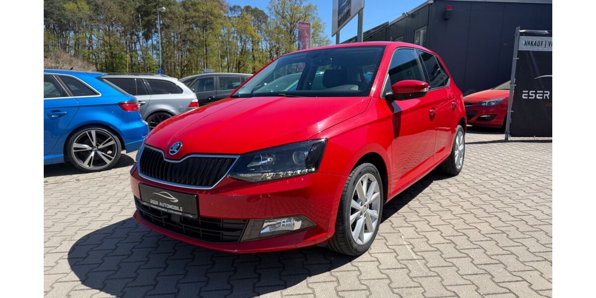Skoda Fabia 59.000 km 10.290 &euro; Wendelstein 90530