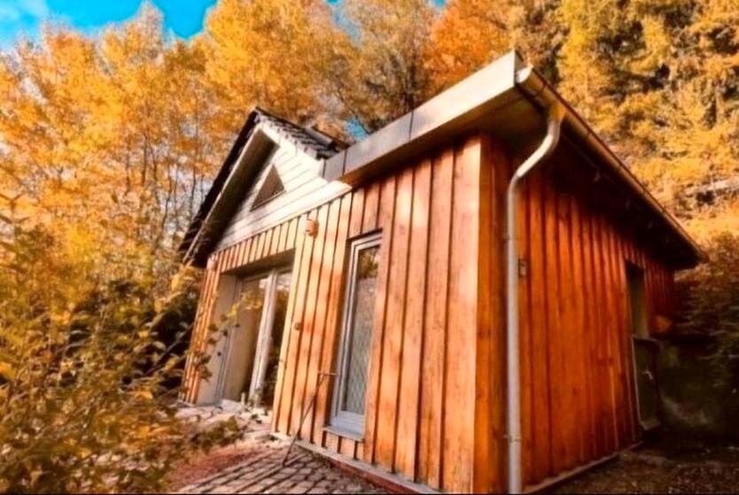 Tinyhaus Waldhaus Ferienhaus