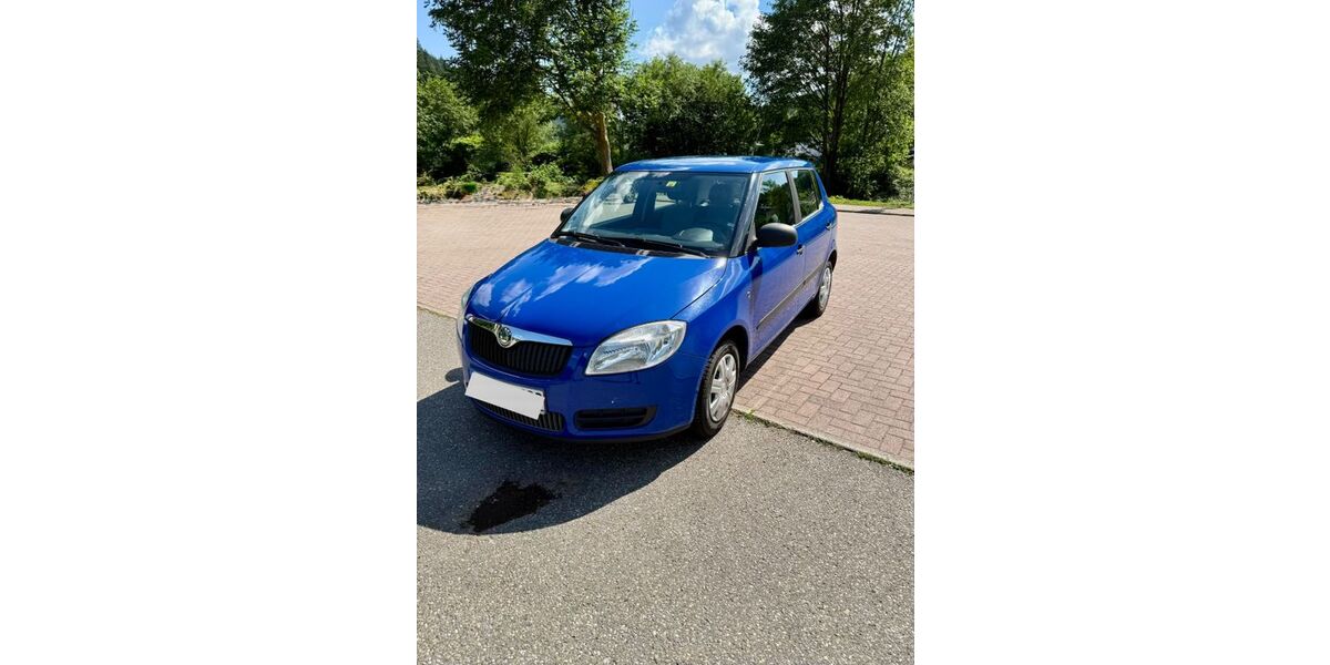 Skoda Fabia 131.334 km 3.500 &euro; Hirschhorn 69434
