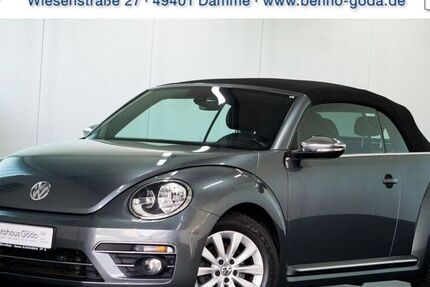 VW Beetle