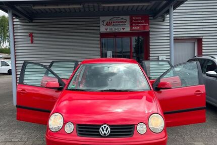 VW Polo