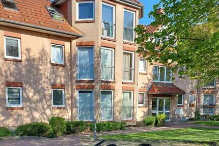 Wohnung zum Mieten in Elmshorn 380 € 31 m² 1.5 zimmer