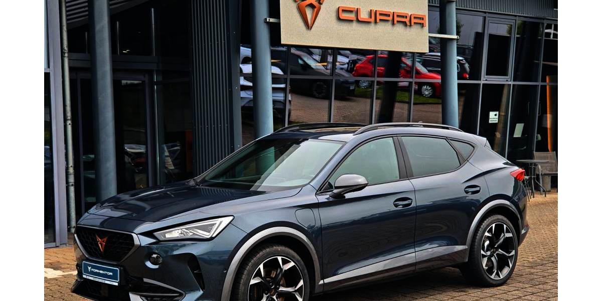 Cupra Formentor 53.969 km 24.790 &euro; Wissen 57537