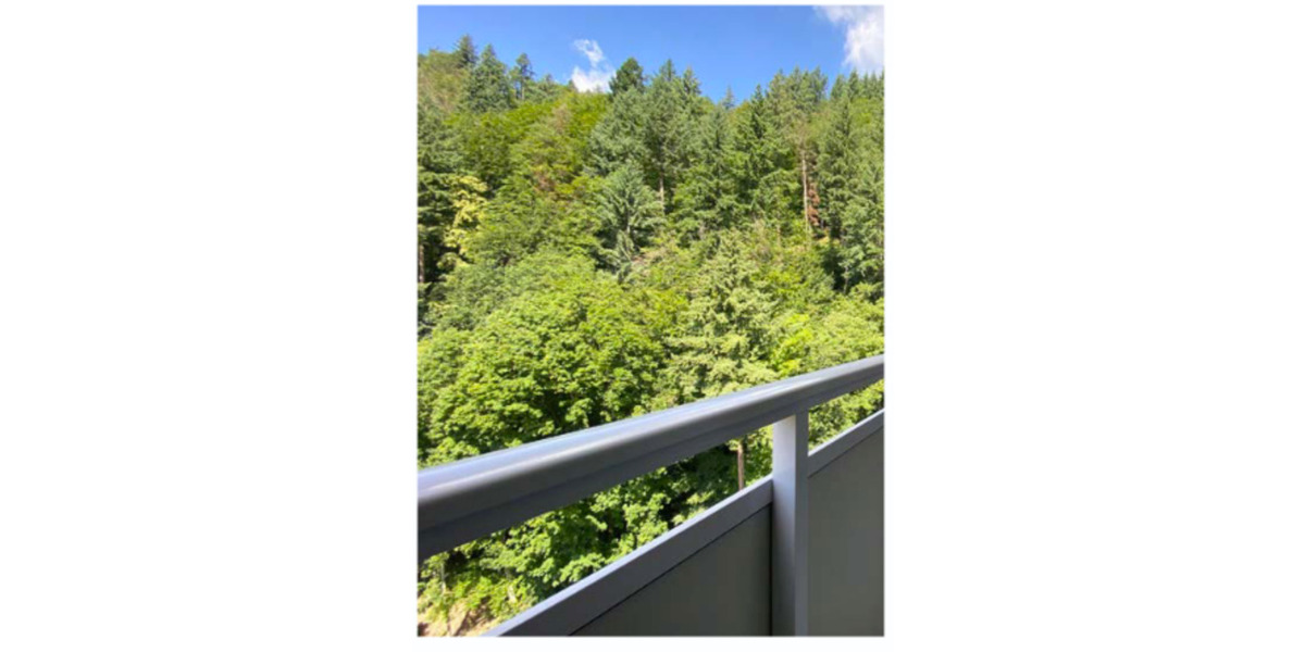 Schöne 3-Zimmer-Etagenwohnung in 79183 Waldkirch 3 zimmer