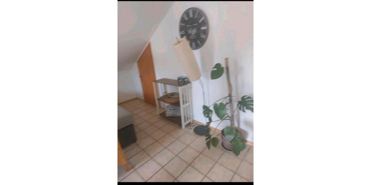 Dachgeschoßwohnung Erbach - 2 Zimmer, 55 m&sup2;, 600&euro; | Angebot:25926159