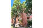 Einfamilienhaus Greifswald Fleischervorstadt - 3 Zimmer, 180.000&euro; | Angebot:25834706