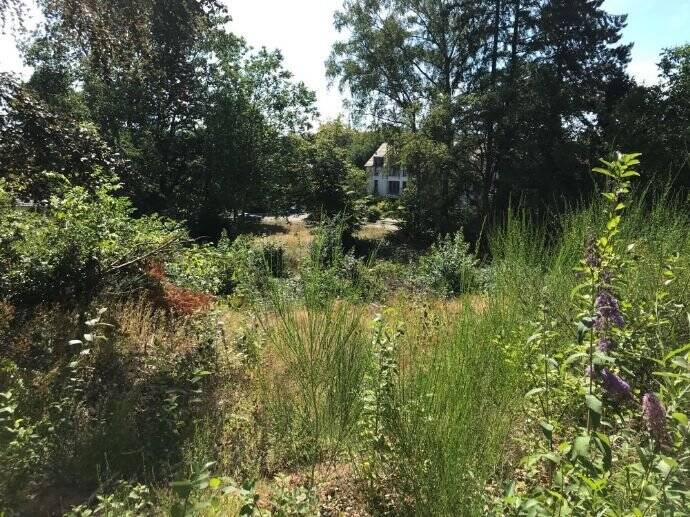 Grundstück Homburg Schwarzenbach - 249.000&euro; | Angebot:25747852