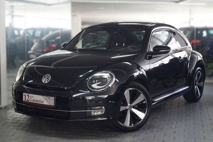 Beetle