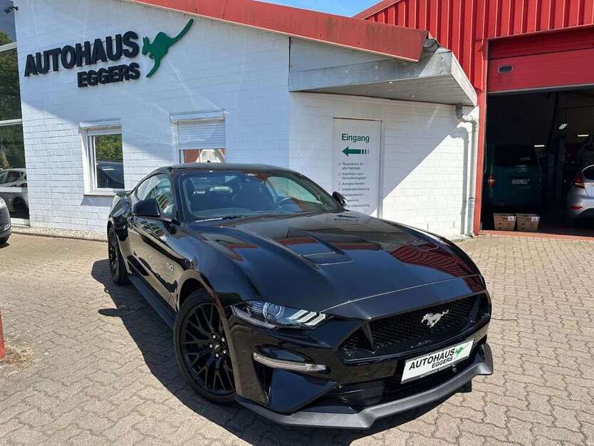 Mustang