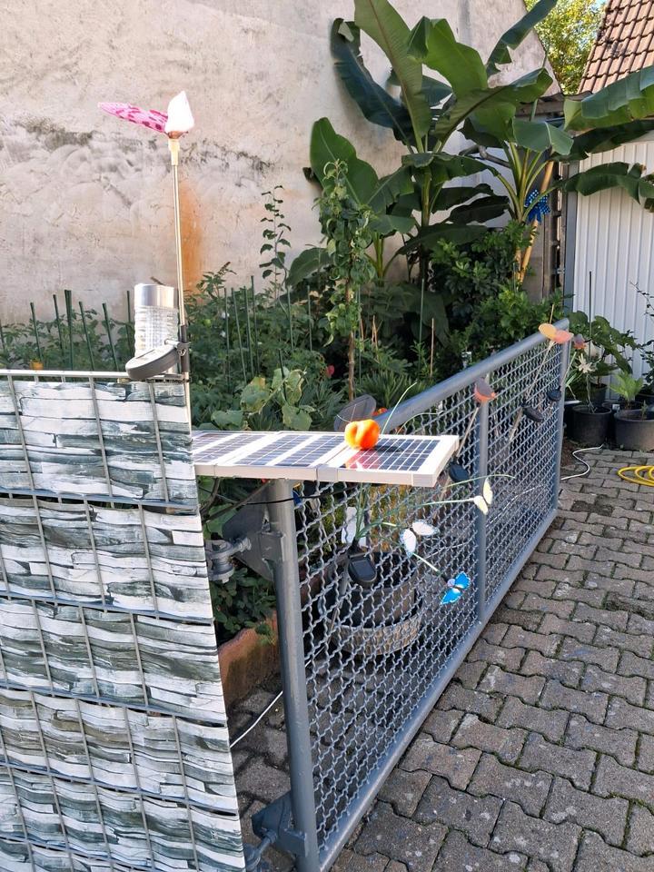 Familie Haus Sanierung Bedarf