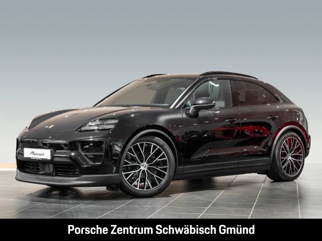 Macan