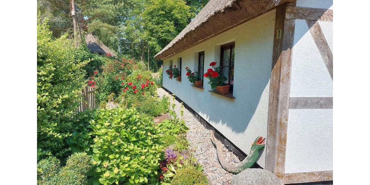 Einfamilienhaus Gingst - 2 Zimmer, 75 m&sup2;, 310.000&euro; | Angebot:26876297