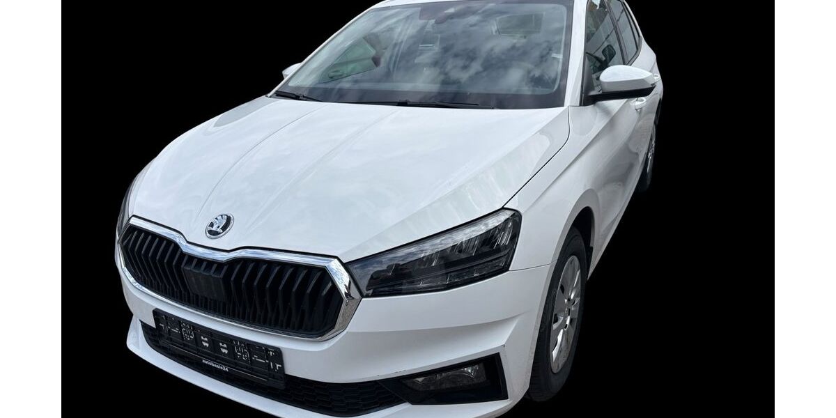 Skoda Fabia 1.081 km 16.900 &euro; Stutensee 76297