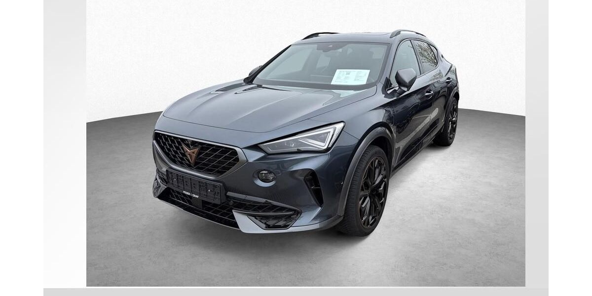 Cupra Formentor 57.050 km 28.450 &euro; Burgoberbach 91595