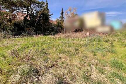 Grundstück Grünstadt - 222.000&euro; | Angebot:25896378