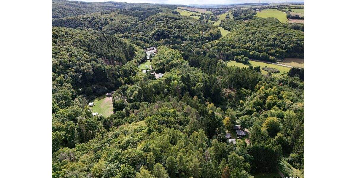 Gewerbeobjekt Bockenau - 1.050.000&euro; | Angebot:24065879