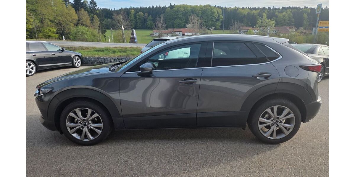 Mazda CX-30 43.850 km 19.999 &euro; Schöfweg 94572
