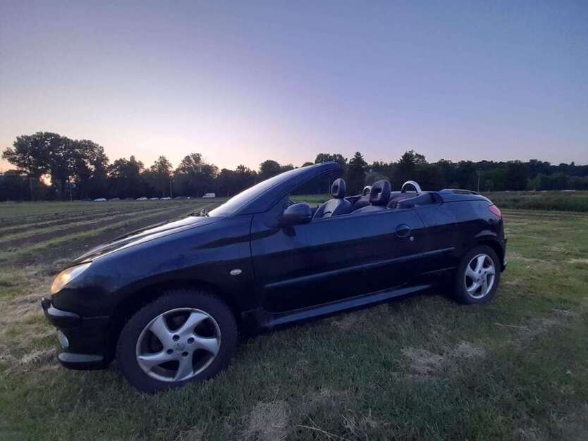 206