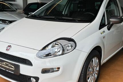 Fiat Punto 84.220 km 7.490 € Bad Dürkheim 67098