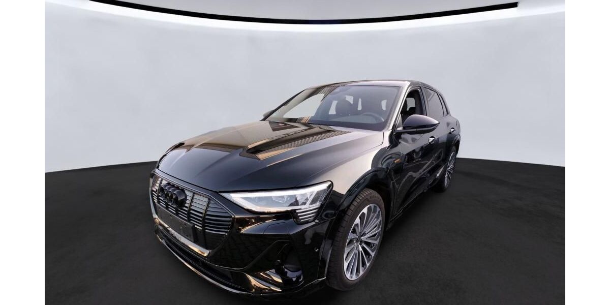 Audi e-tron 59.181 km 31.990 &euro; Hamburg 22047