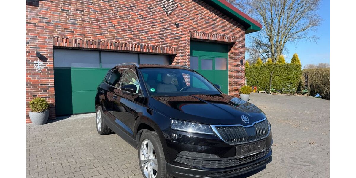 Skoda Karoq 116.000 km 20.487 &euro; Neuschoo 26487