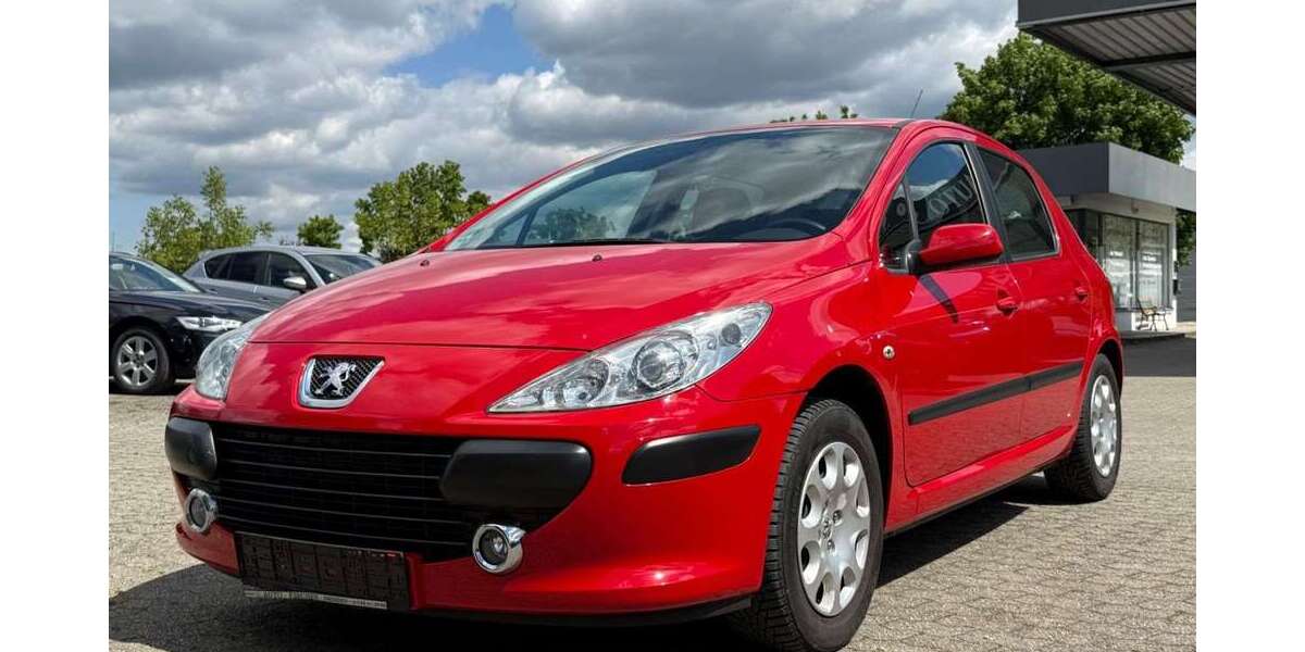 Peugeot 307 134.424 km 1.650 &euro; Ergolding 84030