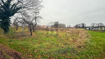 VIEL PLATZ FÜR IHREN TRAUM - Grundstück Steimbke Wendenborstel Wendenborstel | Angebot:27257915